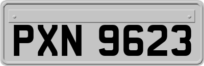 PXN9623