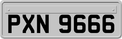 PXN9666