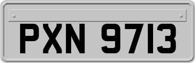 PXN9713