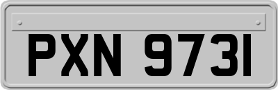 PXN9731