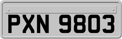 PXN9803