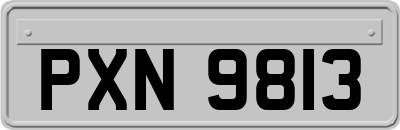 PXN9813