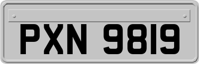 PXN9819