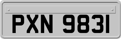 PXN9831