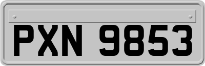 PXN9853