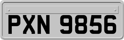 PXN9856