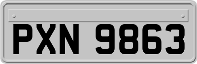 PXN9863