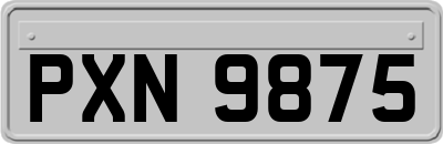 PXN9875