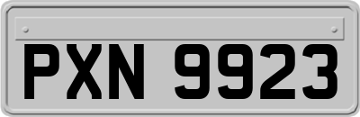 PXN9923