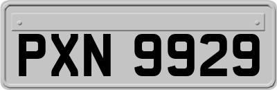 PXN9929