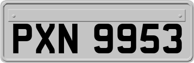 PXN9953