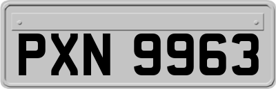 PXN9963