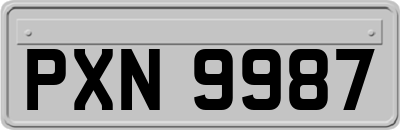 PXN9987