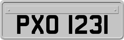 PXO1231