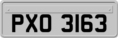 PXO3163