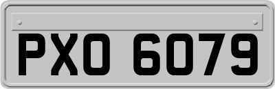 PXO6079