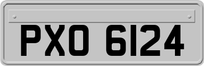 PXO6124