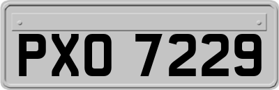 PXO7229