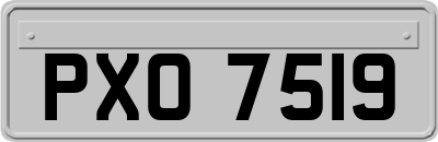 PXO7519