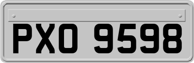 PXO9598