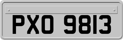 PXO9813