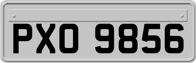 PXO9856