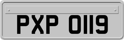 PXP0119