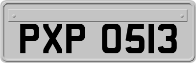 PXP0513