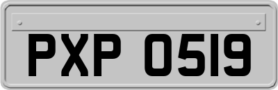 PXP0519