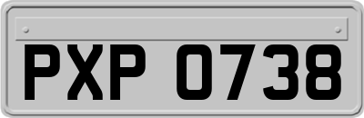 PXP0738