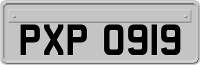 PXP0919