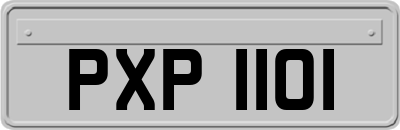 PXP1101