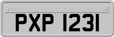 PXP1231