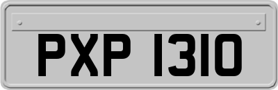 PXP1310