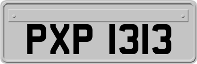 PXP1313