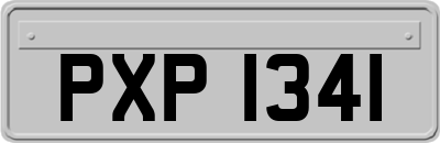 PXP1341