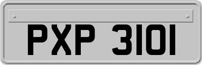 PXP3101