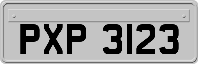 PXP3123