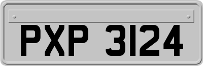 PXP3124