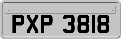 PXP3818