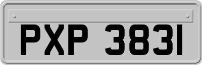 PXP3831