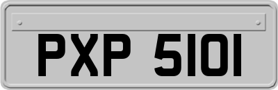 PXP5101