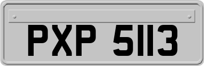 PXP5113