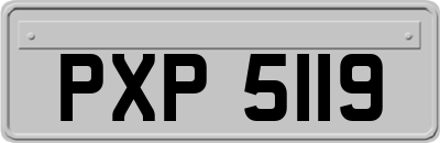 PXP5119