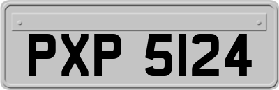 PXP5124