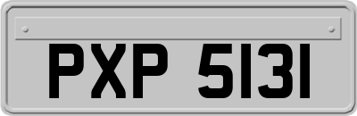PXP5131
