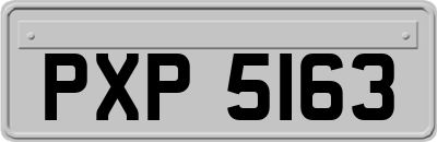 PXP5163