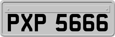 PXP5666