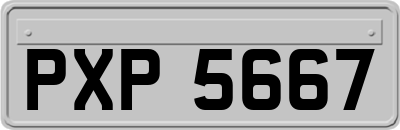 PXP5667