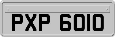 PXP6010